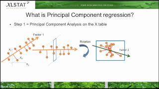 Principal Component Regression [upl. by Mcneil202]