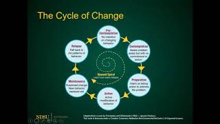 Understanding Change Theory [upl. by Japeth180]