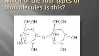 How to identify biomolecules structurally [upl. by Vittoria831]