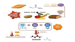 Acrylamide Risk in Food Food Safety Tips [upl. by Doggett]