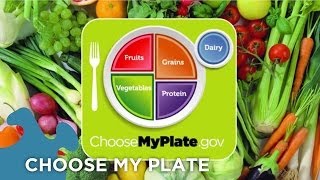 Choose My Plate Dietary Guidelines [upl. by Brenk]