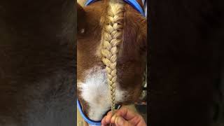 How To Braid a Forelock [upl. by Toscano]