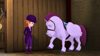 Princesse Sofia  Les Bonnes Manières de Princesse 2  Les Animaux amp lApparence  Disney Junior [upl. by Hsejar385]