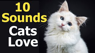 10 Sounds Cats Love To Hear The Most [upl. by Acila]