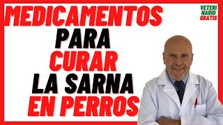 13 💚 MEDICAMENTOS para como CURAR la SARNA en PERROS Caracha o Jiote 💚 TRATAMIENTO rápido efectivo [upl. by Aramak]