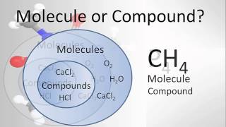 Molecule vs Compound Examples and Practice [upl. by Clougher758]