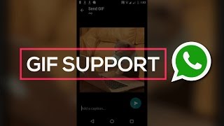 How to Enable GIF support on WhatsApp 😎 [upl. by Drobman]