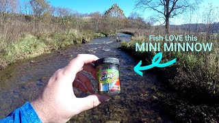 Berkley GULP ALIVE 1quot Minnow Trophy Trout Fishing CHALLENGE [upl. by Rinaldo]