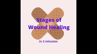 Proper wound care How to minimize a scar [upl. by Afatsom]