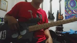 ERASERHEADS  OVERDRIVE  BASS COVER [upl. by Shanan]