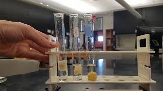 Lab 14 Enzyme activity experiment [upl. by Anderegg]