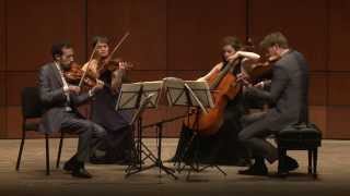 Beethoven String Quartet Op 135 in F Major  Ariel Quartet full [upl. by Kittie335]