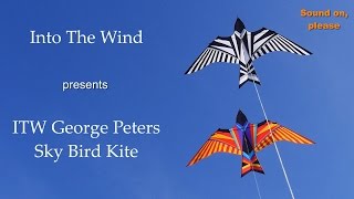 ITW George Peters Sky Bird Kite [upl. by Ayotyal664]