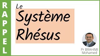 17 SYSTEME RHESUS [upl. by Ahsinev]