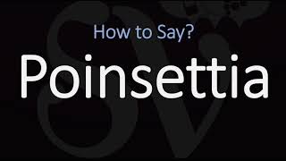 How to Pronounce Poinsettia CORRECTLY [upl. by Dinin]