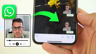 Crear STICKERS ANIMADOS en WhatsApp fácil y sin fondo ✅ [upl. by Llehcal863]