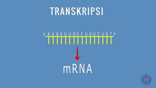 SINTESIS PROTEIN  TRANSKRIPSI [upl. by Mackenie]