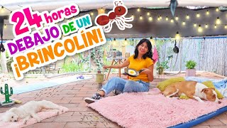 Viviendo 24 Hrs DEBAJO del BRINCOLÍN🌙🌞Tiene Luces de COLORES 🌈 Cocinita y HORMIGAS Conny Merlin [upl. by Conlee]