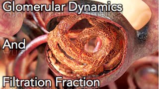 Renal Physiology  Glomerular dynamics amp Filtration Fraction  MADE EASY [upl. by Ellon]