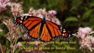 Le Papillon english sub and trans [upl. by Evreh324]