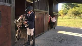 TAYLA HAYWARD  HOBBY HORSE DERBY COMPETITION [upl. by Boys]