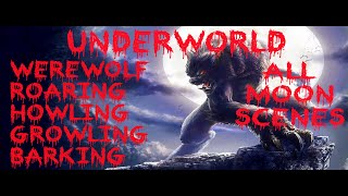 Werewolf Roar  Wolf Sound Effect  Moon Scene  Underworld HD [upl. by Aeresed]