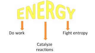 Campbells Biology Chapter 8 An Introduction to Metabolism [upl. by Esirehc]