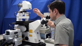 ZEISS Microscopy Howto Set up Köhler Illumination on your ZEISS Axio Observer [upl. by Eaj683]