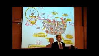 ANATOMY REVIEW OF CYTOLOGY PART 2 by Professor Fink [upl. by Lubet]