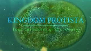 Kingdom Protista  Four Centuries Of Discovery [upl. by Rojas503]