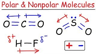 Polar and Nonpolar Molecules [upl. by Adnuhsed]