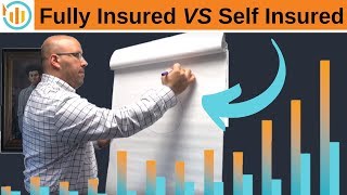 Fully Insured VS Self Insured [upl. by Minette]