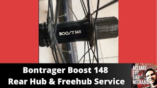 Bontrager Boost 148 Rear Hub and Freehub Service [upl. by Hoagland632]