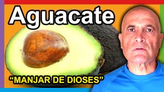 AGUACATE 🥑 Propiedades Beneficios y Cómo consumir Avocado 💚 [upl. by Koorb451]