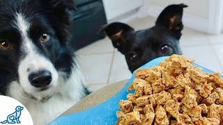 The Best Homemade Dog Training Treats [upl. by Ihp]