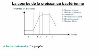 La croissance bactérienne [upl. by Agan]