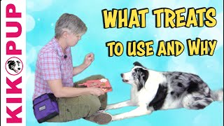 What treats to use and why  Professional Dog Training [upl. by Ococ874]