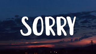 Alan Walker amp ISÁK  Sorry Lyrics [upl. by Arreik572]