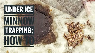 Trapping MINNOWS Under ICE  Setting and Checking Traps 2018 [upl. by Einal]