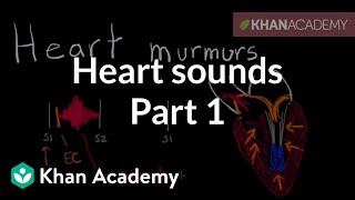 Systolic murmurs diastolic murmurs and extra heart sounds  Part 1  NCLEXRN  Khan Academy [upl. by Ennaylloh553]