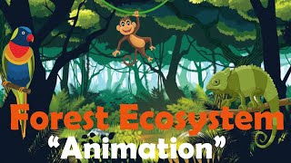 FOREST ECOSYSTEM  Biology Animation [upl. by Nnitsuj]