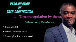 Homeostasis Vasodilation Vs Vasoconstriction [upl. by Nicolas232]