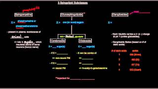 Lipids Part 9 of 11  Membrane Lipids  Sphingolipids [upl. by Elstan323]