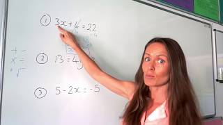 The Maths Prof Solving Linear Equations part 1 [upl. by Ahseek362]