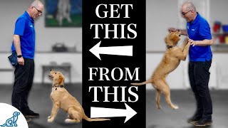 Teach Your Dog To Stop Jumping Up In 4 Simple Steps [upl. by Old663]