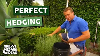 Perfect Hedging Made Easy for Beginners [upl. by Esom]