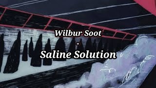 Wilbur Soot  Saline Solution  lyrics [upl. by Garrity157]