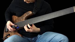 Fretless Bass with the Ebow [upl. by Nevada]