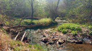 Stara planina [upl. by Che]