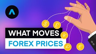 What Moves Forex Prices [upl. by Timotheus]